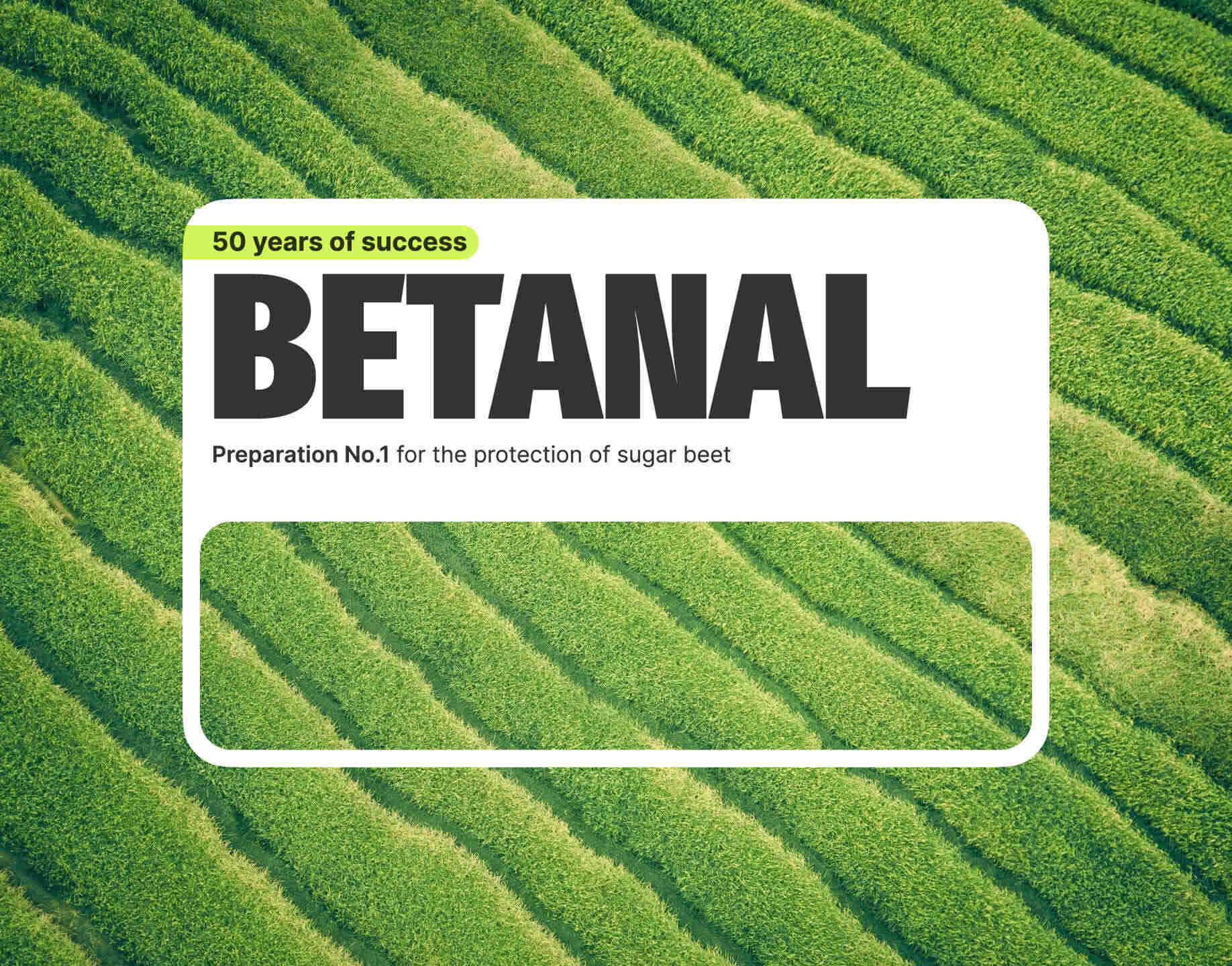 project-betan